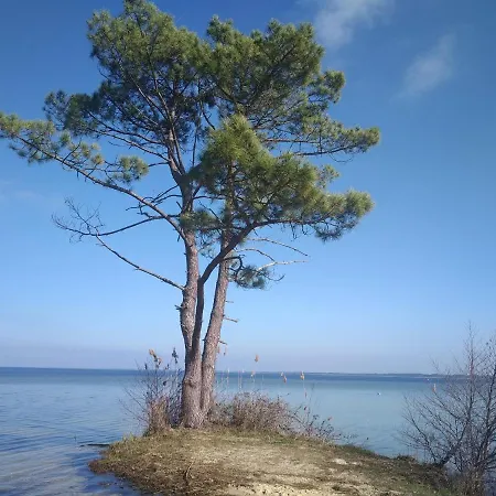 Timaauma Familial Au Calme Sous Les Chenes Salles (Gironde)
